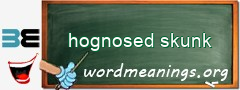 WordMeaning blackboard for hognosed skunk